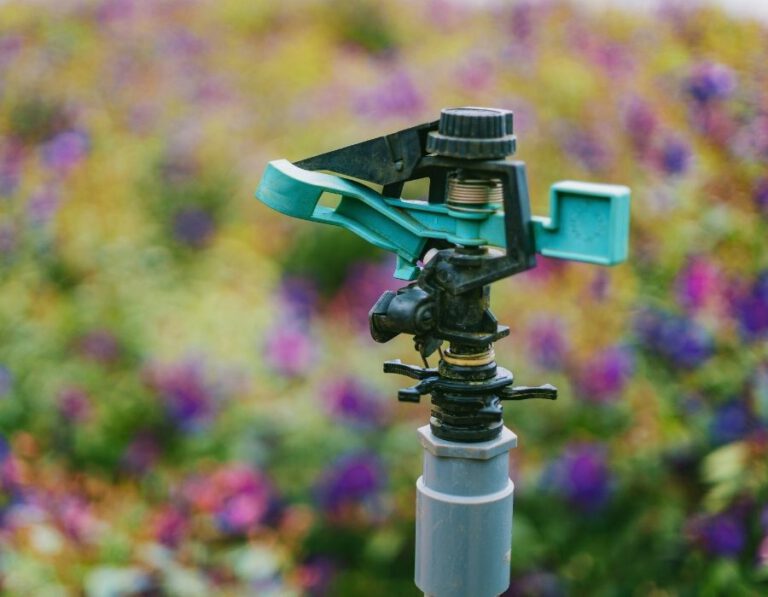 Preserving Your Green Haven: A Guide to Professional Sprinkler Repair Services